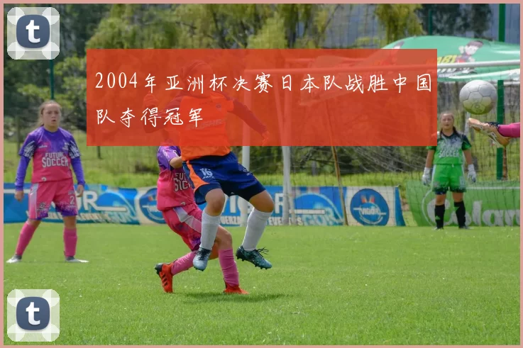 2004年亚洲杯决赛日本队战胜中国队夺得冠军