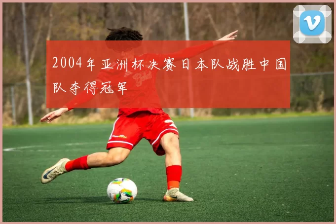 2004年亚洲杯决赛日本队战胜中国队夺得冠军